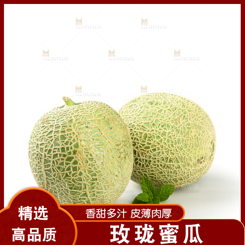 白底上的网纹蜜瓜