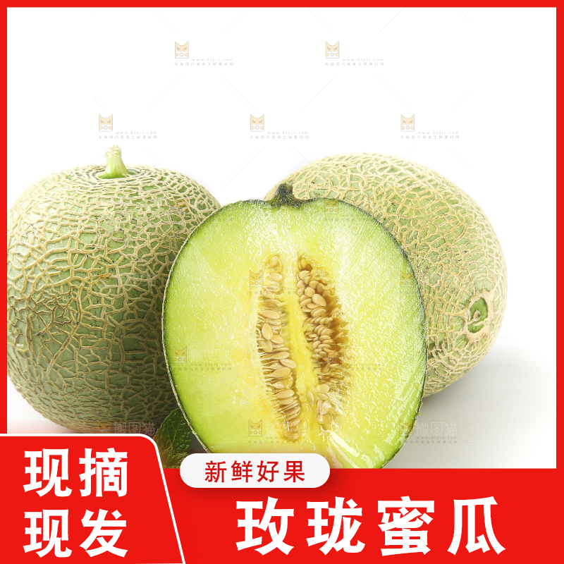 白底上的网纹蜜瓜