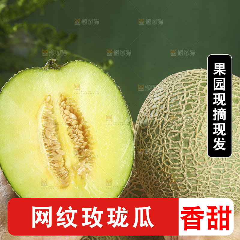 深底上的网纹蜜瓜
