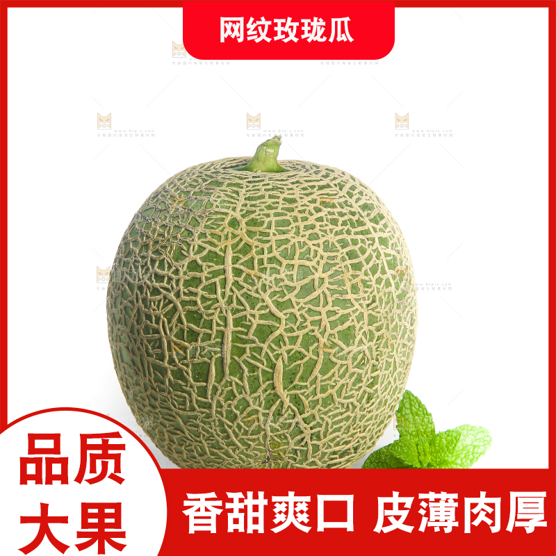 白底上的网纹蜜瓜