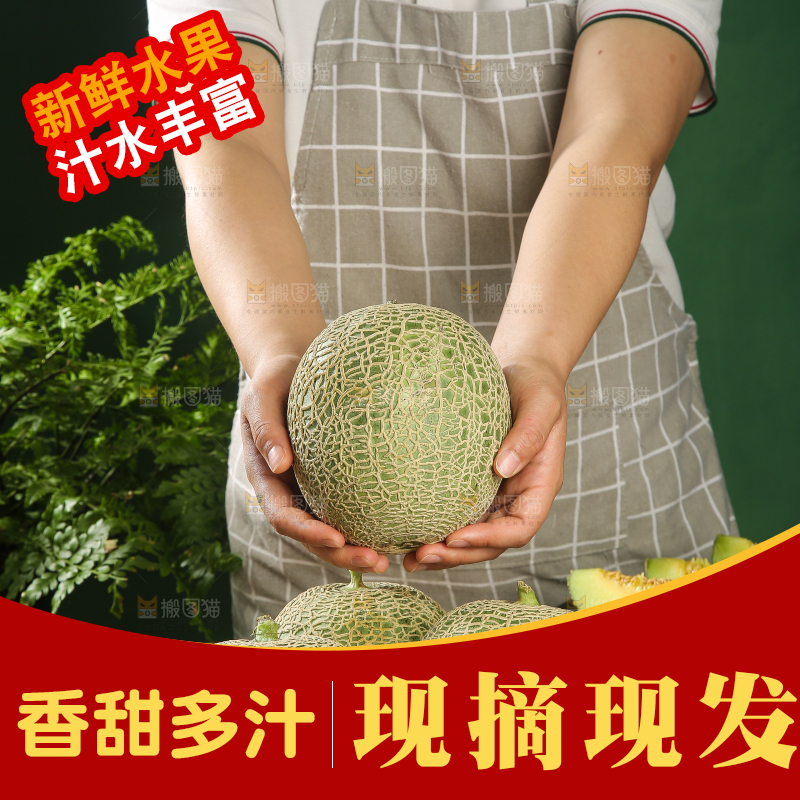深底上的网纹蜜瓜