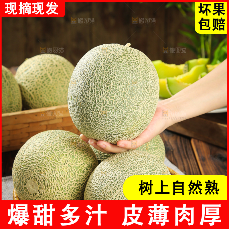 木底上的网纹蜜瓜