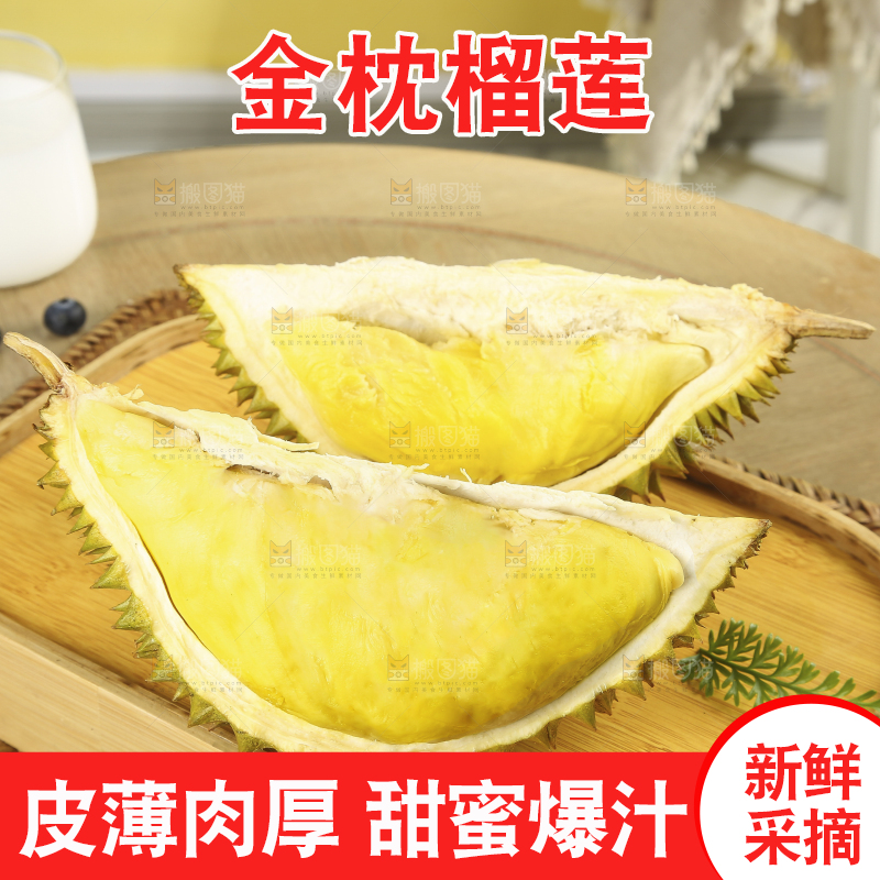 浅底上的金枕榴莲