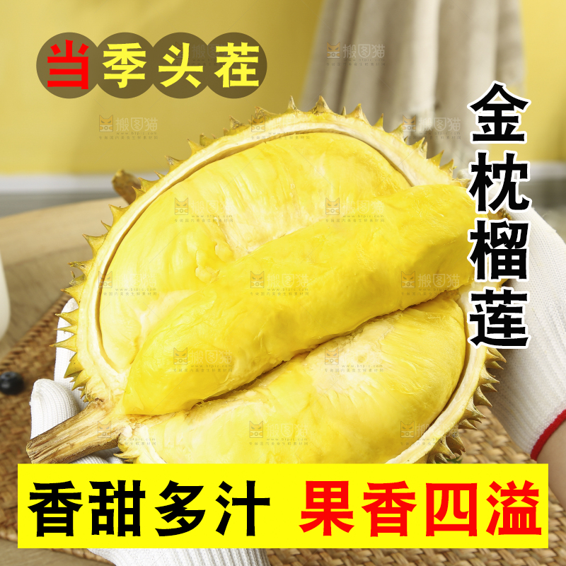 浅底上的金枕榴莲
