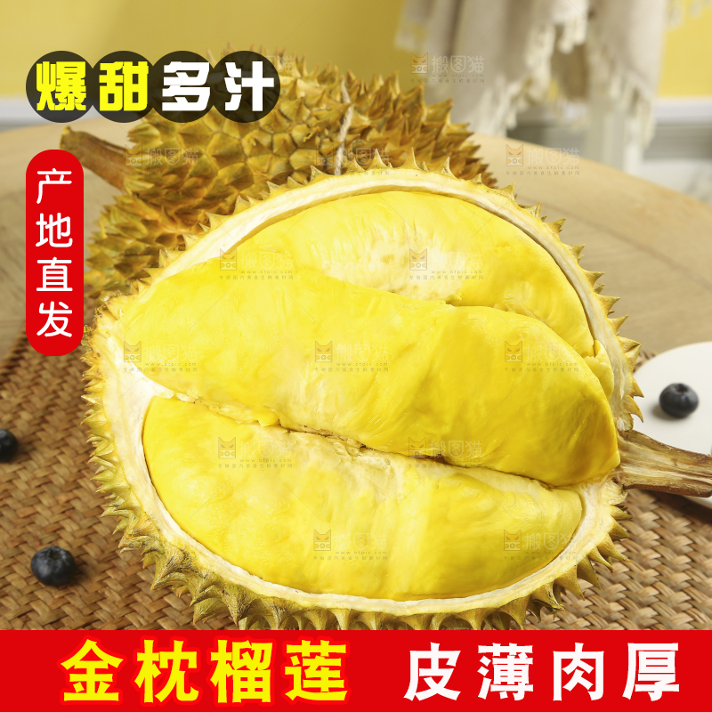 浅底上的金枕榴莲