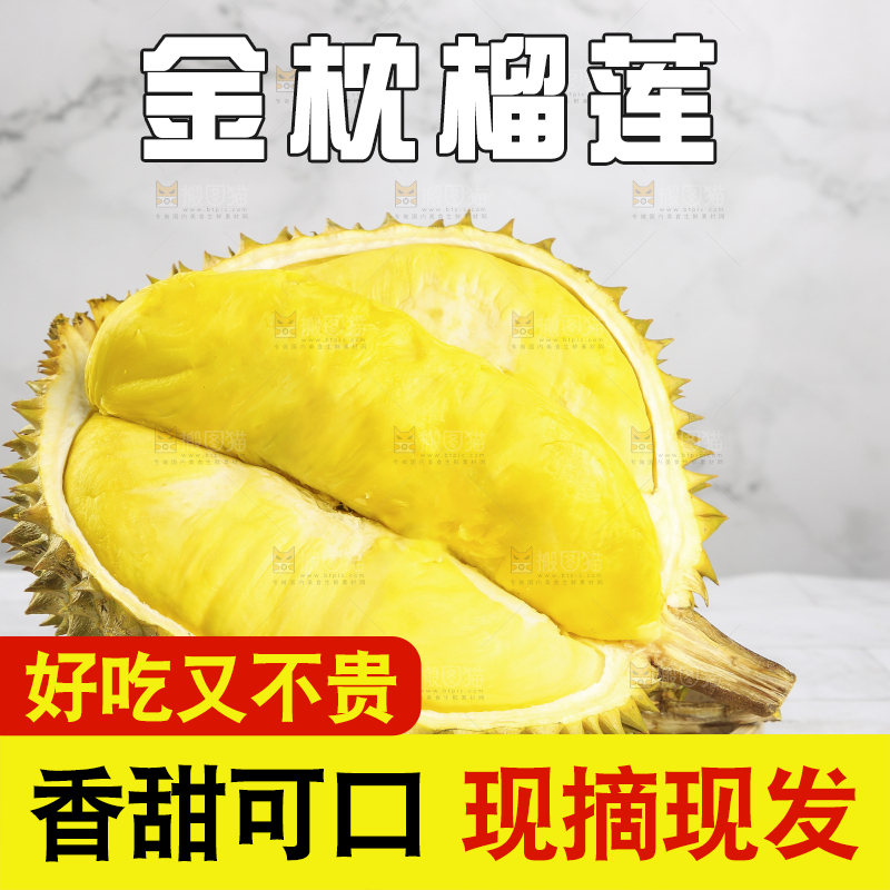 浅底上的金枕榴莲