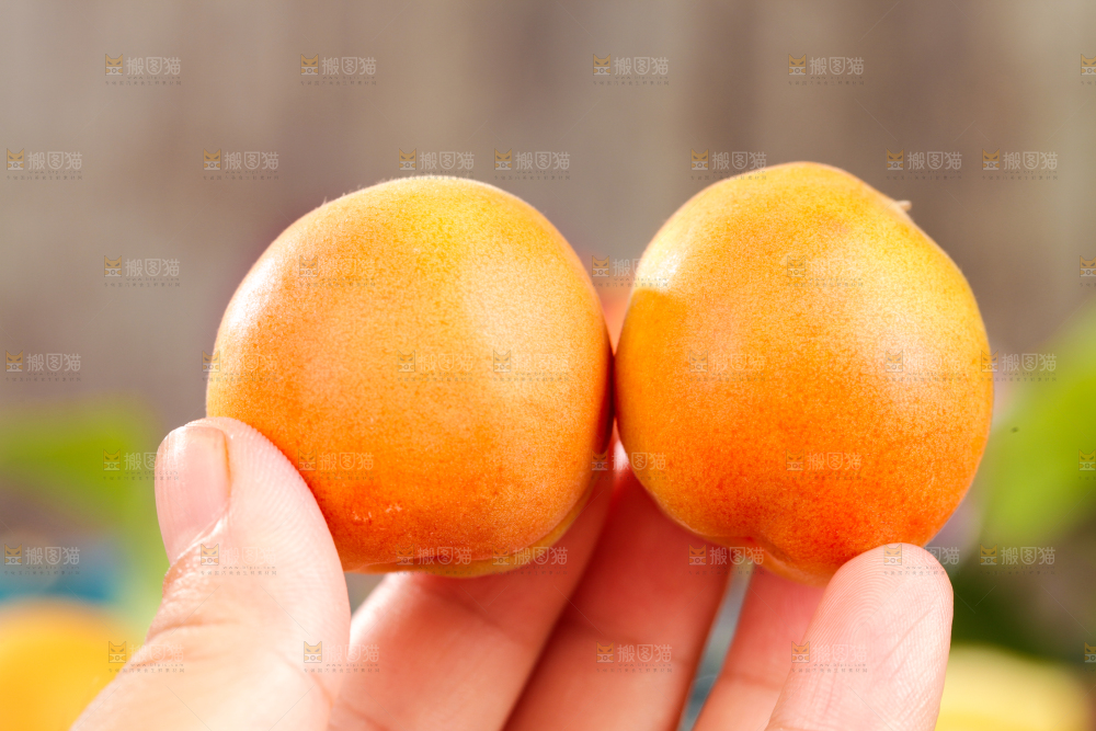 深底上的小红杏
