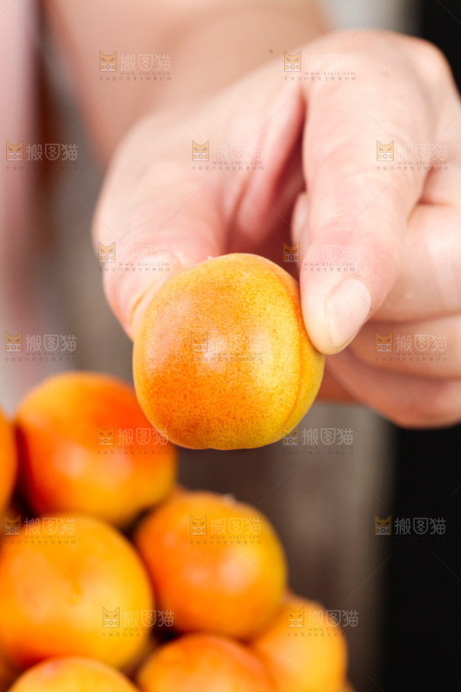 深底上的小红杏