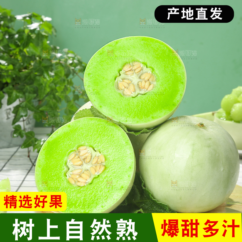 浅底上的玉菇甜瓜