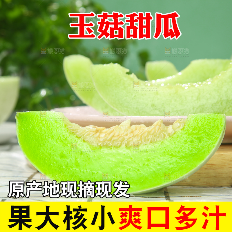 浅底上的玉菇甜瓜