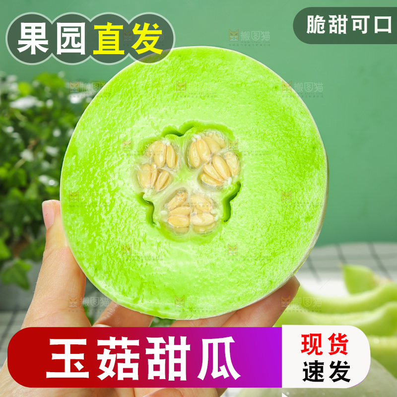 浅底上的玉菇甜瓜