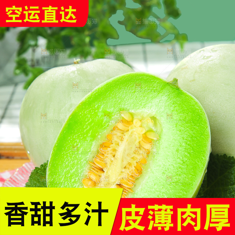 浅底上的玉菇甜瓜