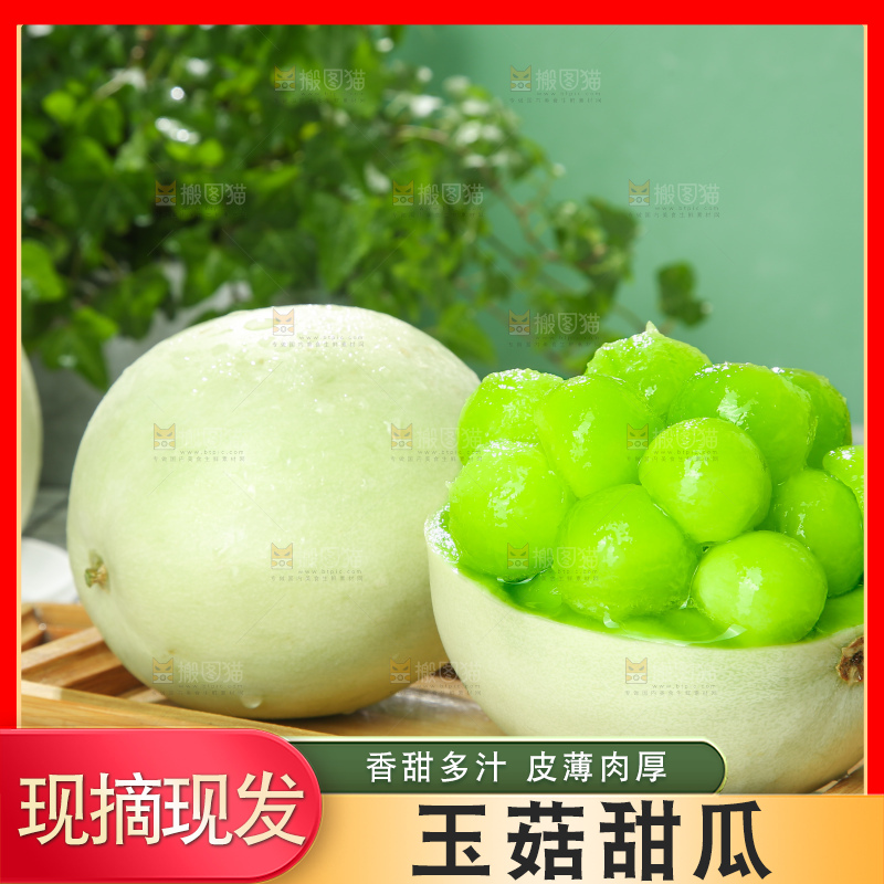 浅底上的玉菇甜瓜
