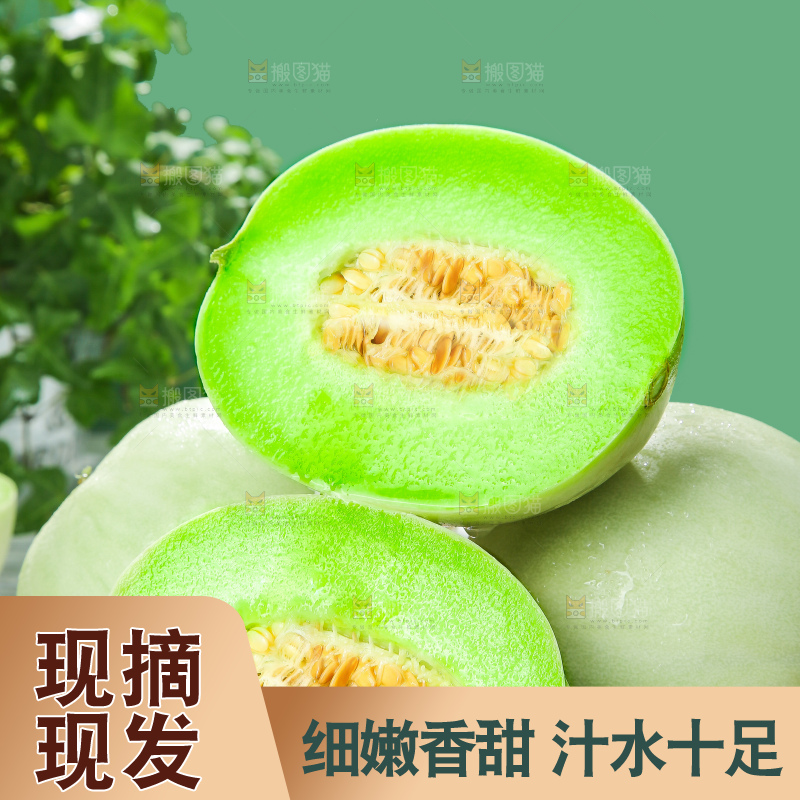 浅底上的玉菇甜瓜
