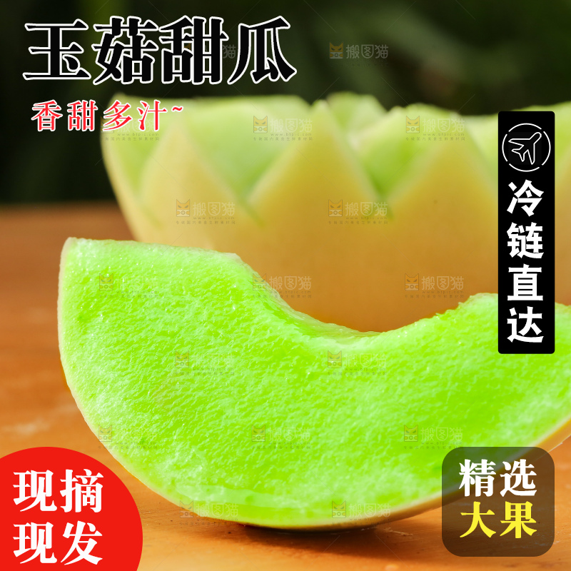 浅底上的玉菇甜瓜