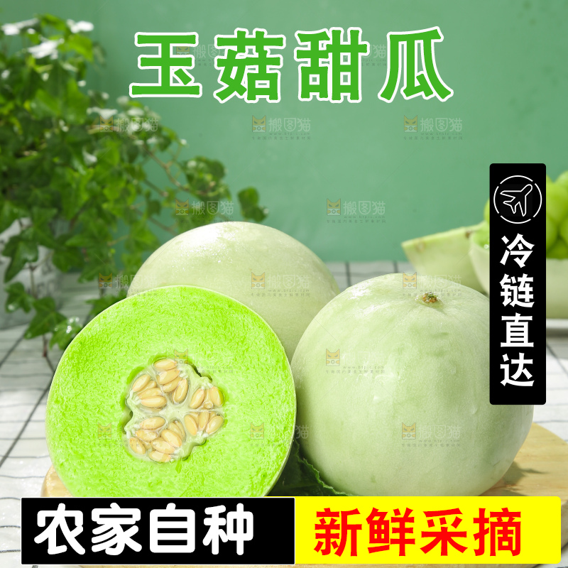 浅底上的玉菇甜瓜