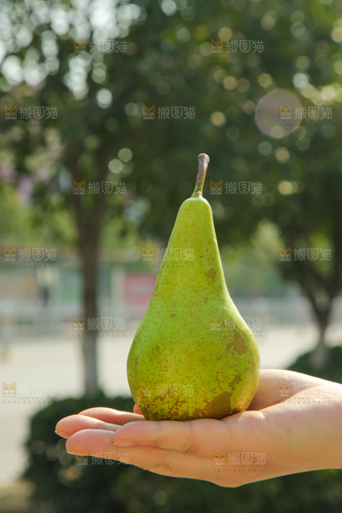 手里拿着青啤梨