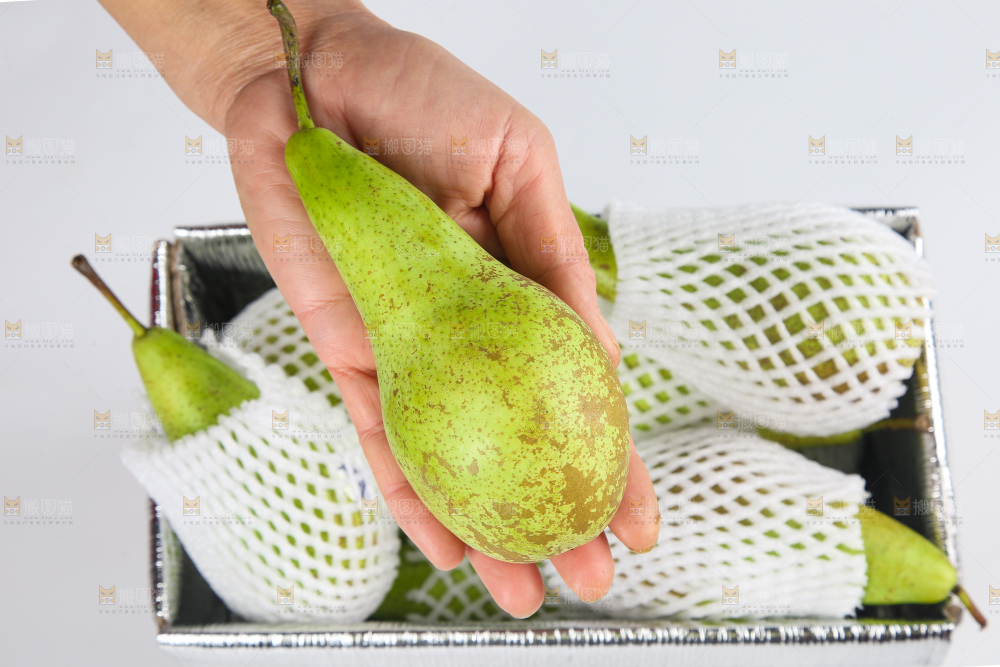 白底上的进口啤梨
