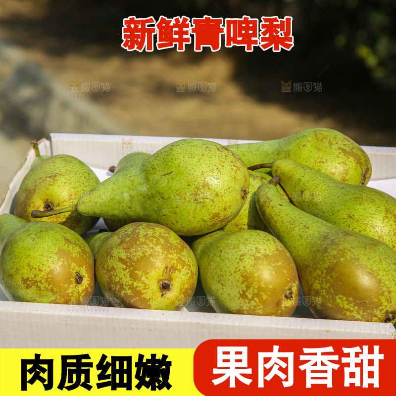 木底上的青啤梨