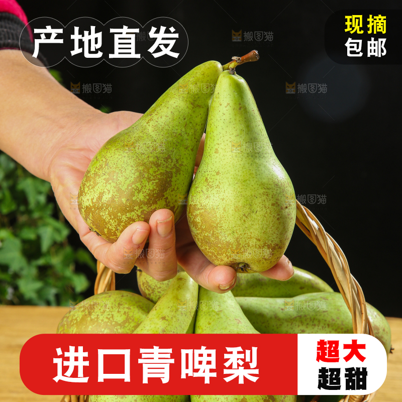 木底上的青啤梨
