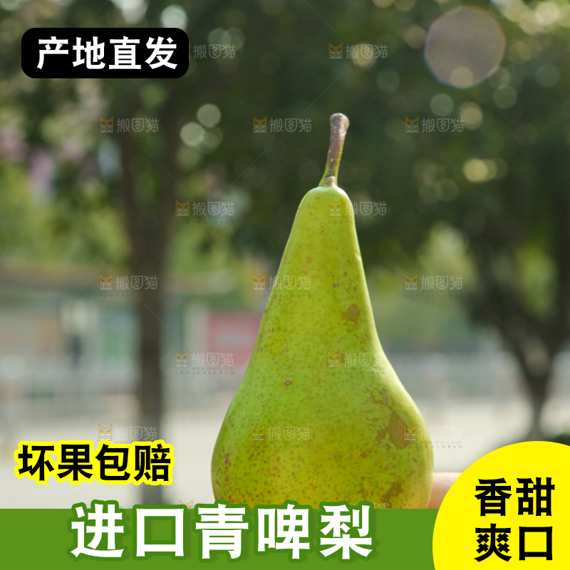 手里拿着青啤梨