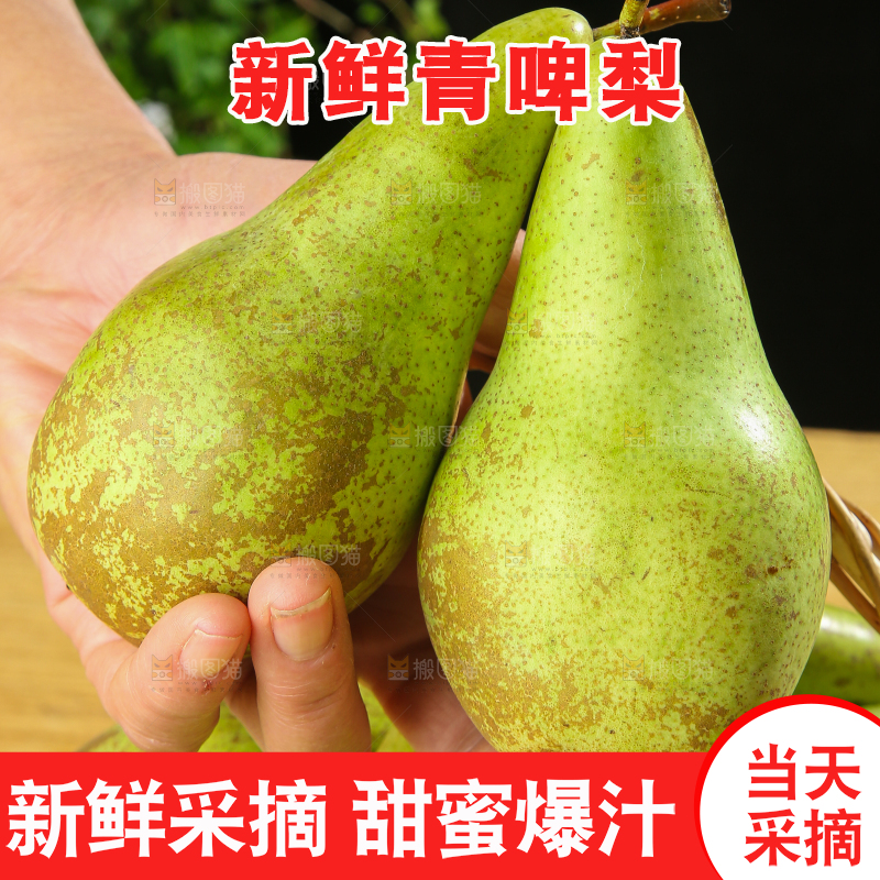木底上的青啤梨
