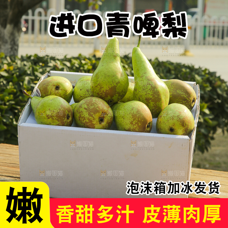 木底上的青啤梨