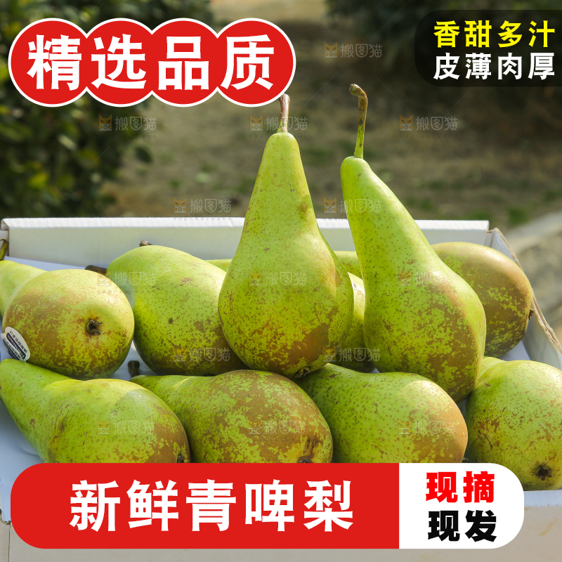 木底上的青啤梨