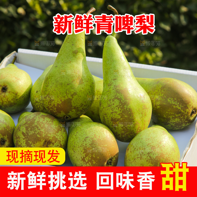 木底上的青啤梨
