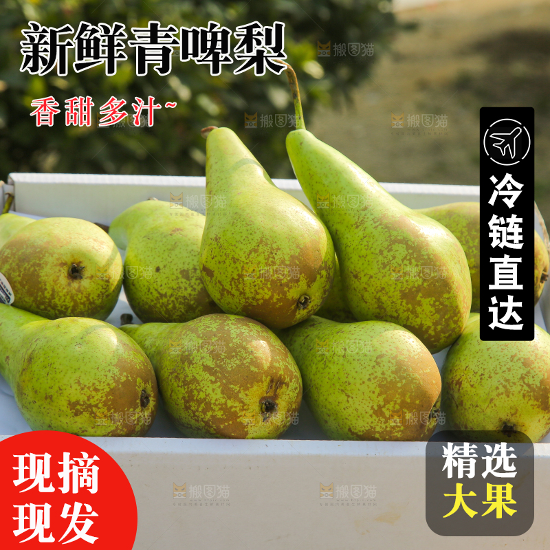 木底上的青啤梨