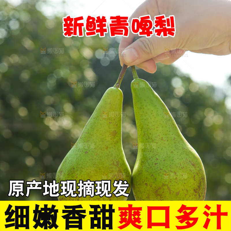 手里拿着青啤梨
