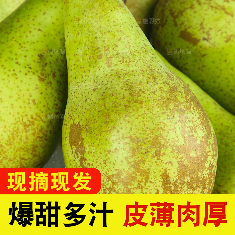白底上的进口啤梨
