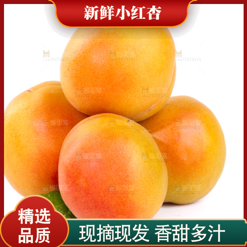 白底上的小红杏