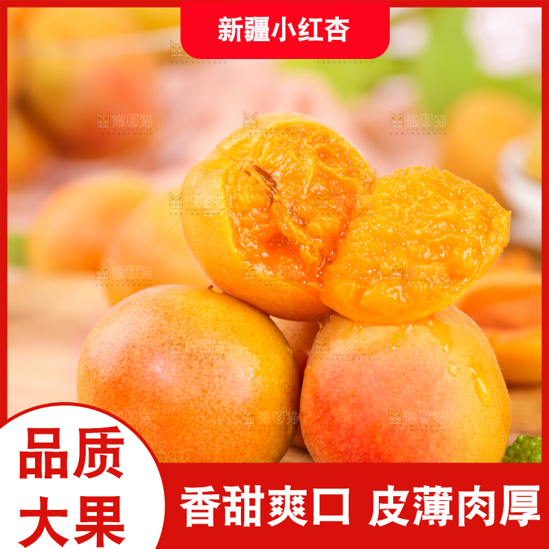 浅底上的小红杏