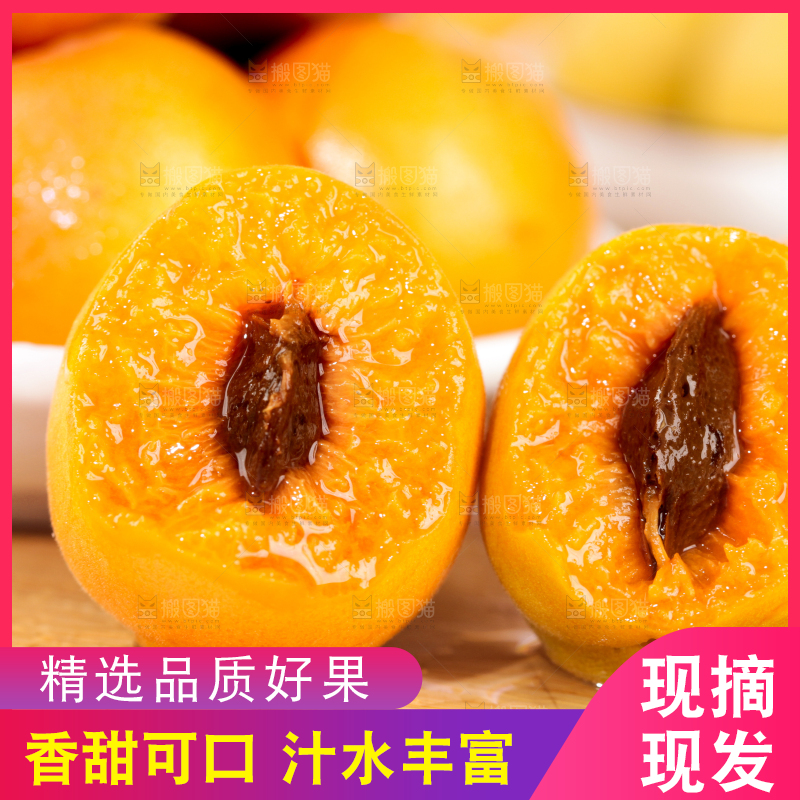 浅底上的小红杏