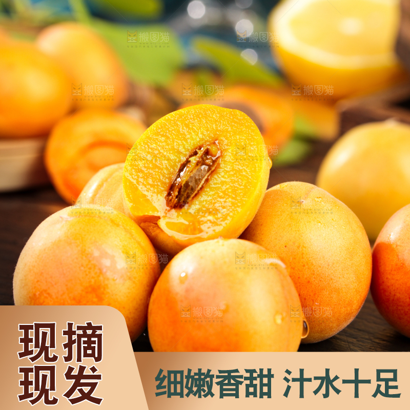 深底上的小红杏