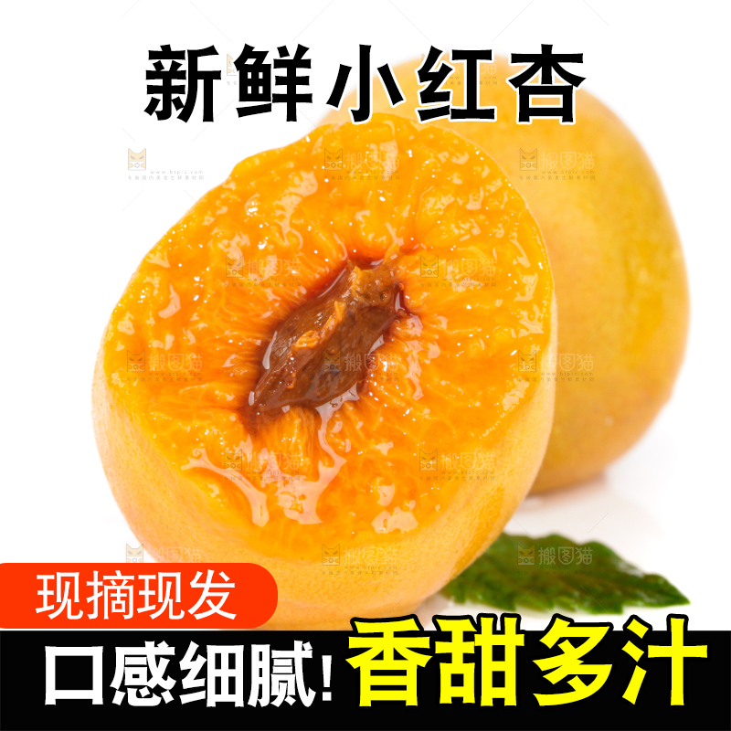 白底上的小红杏