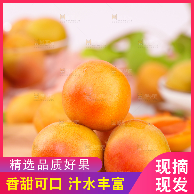 浅底上的小红杏