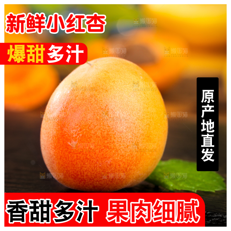 深底上的小红杏