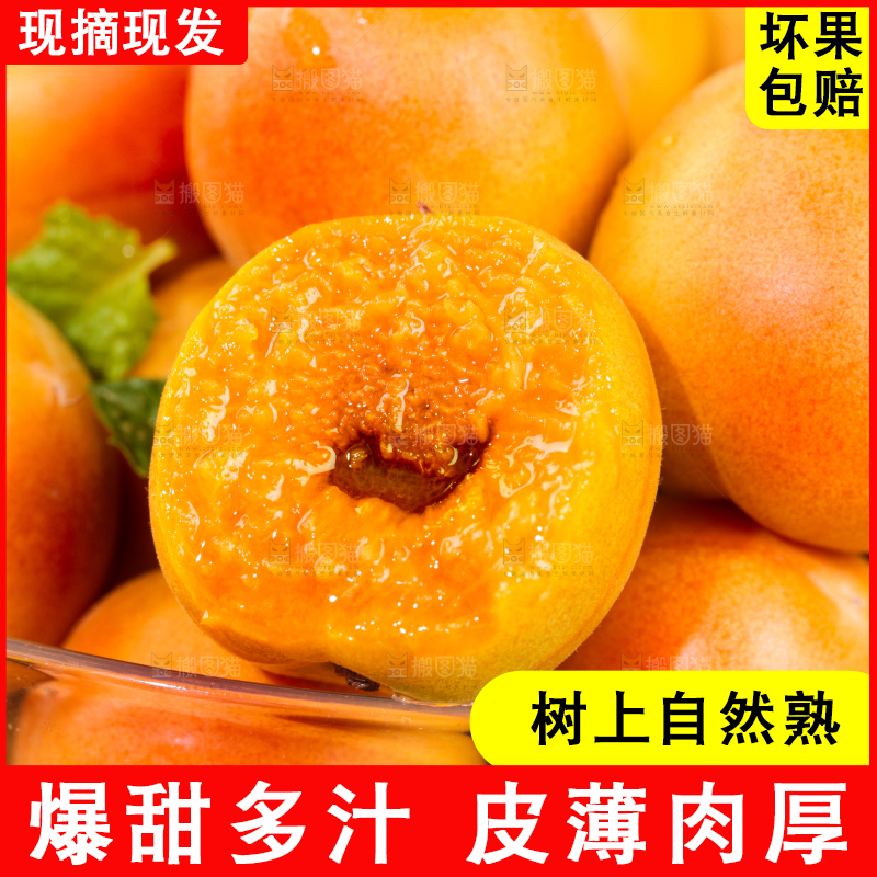 深底上的小红杏