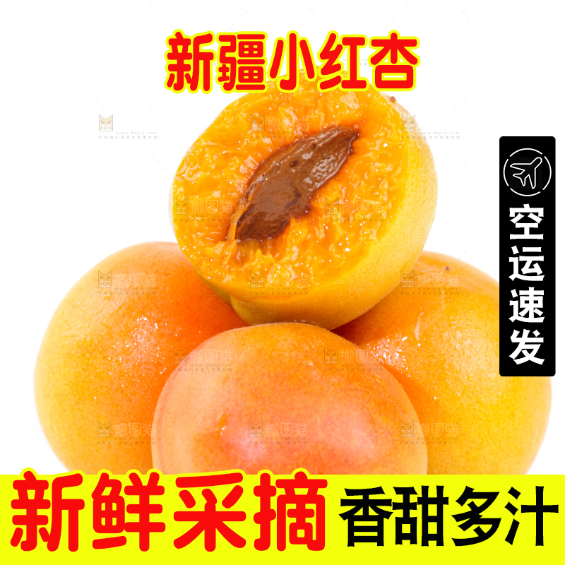 白底上的小红杏