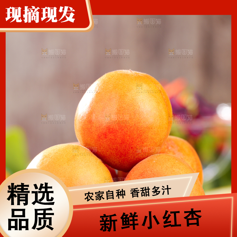 深底上的小红杏