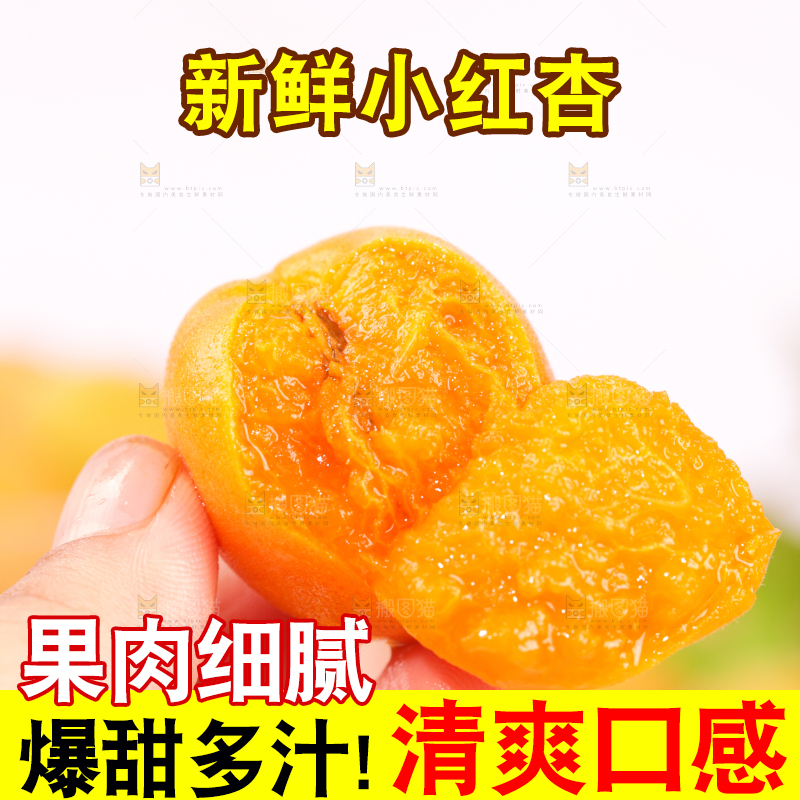 浅底上的小红杏