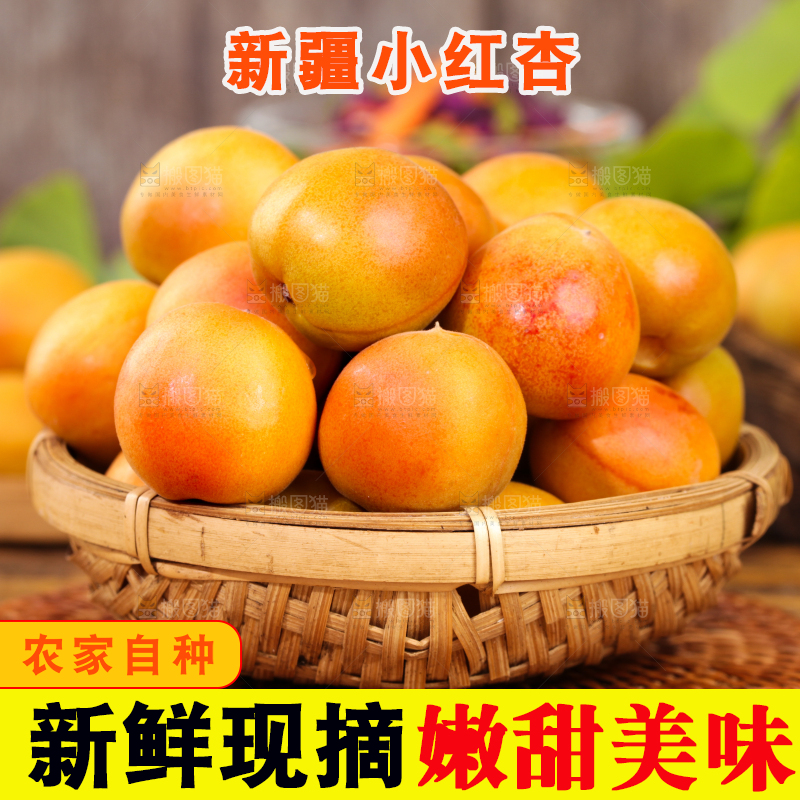 深底上的小红杏