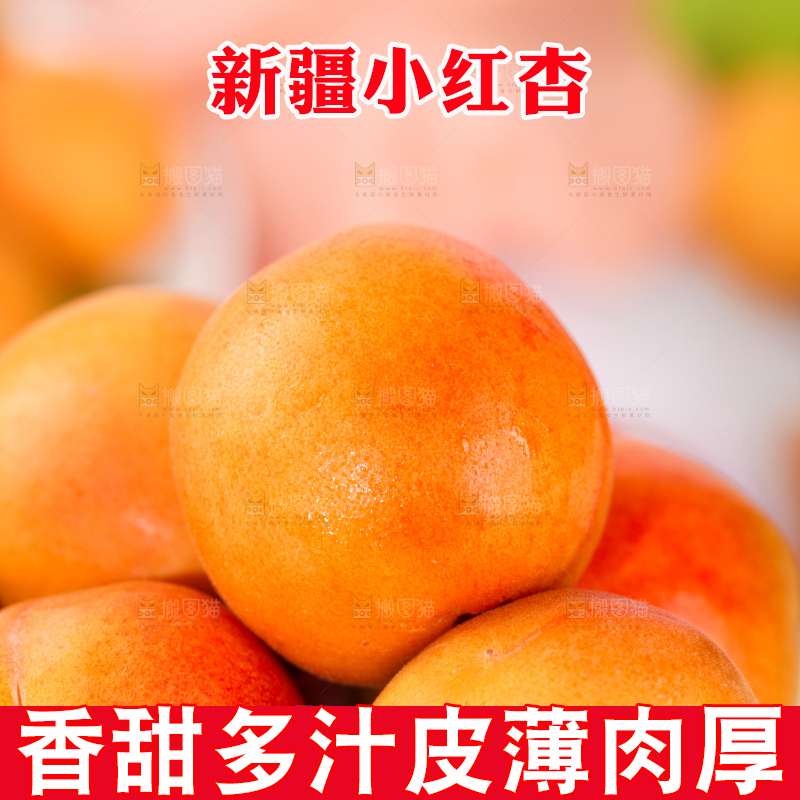 浅底上的小红杏