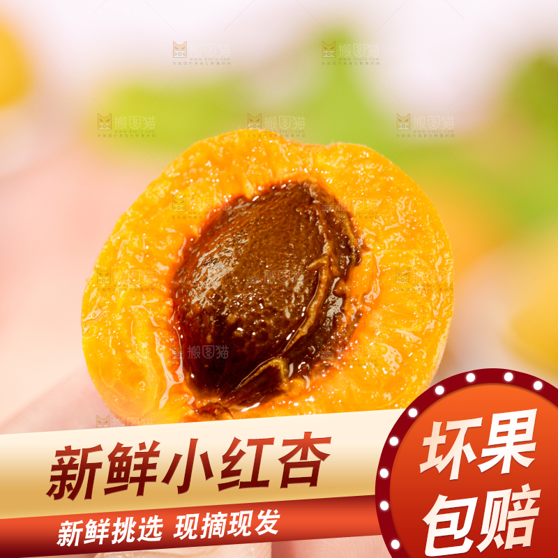 浅底上的小红杏
