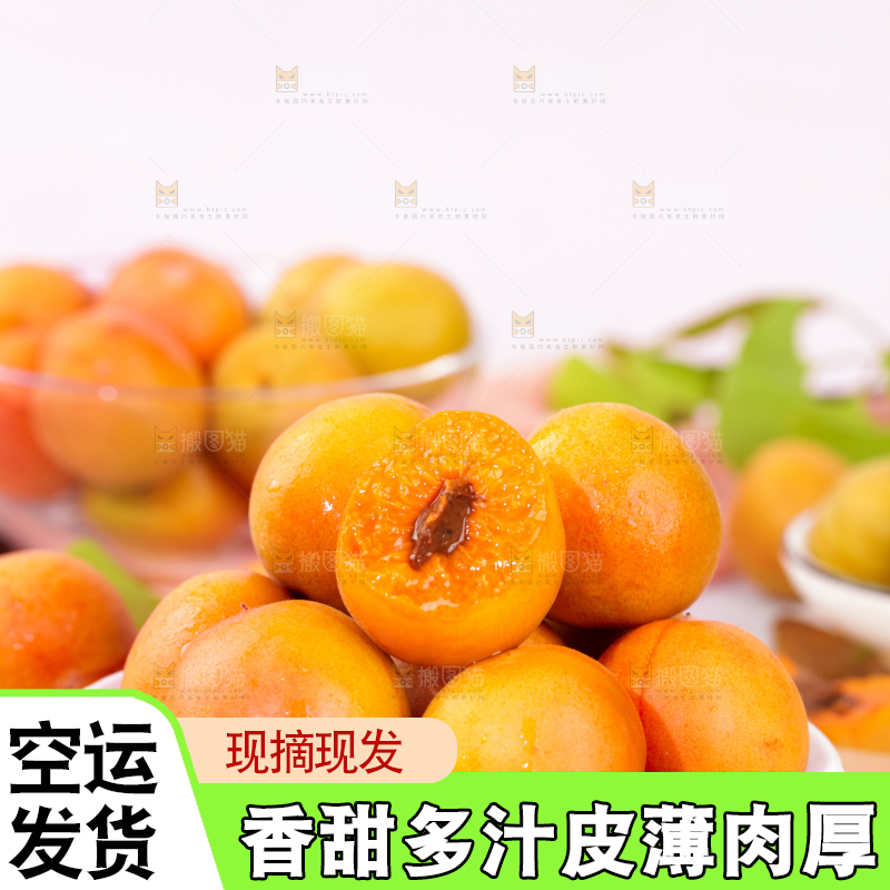 浅底上的小红杏