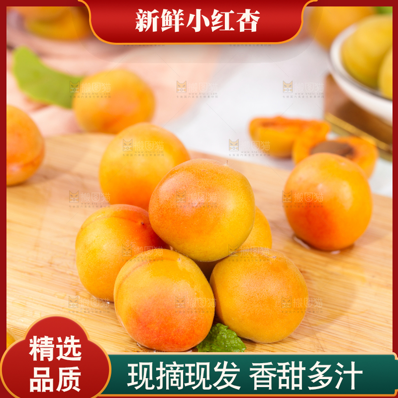 浅底上的小红杏