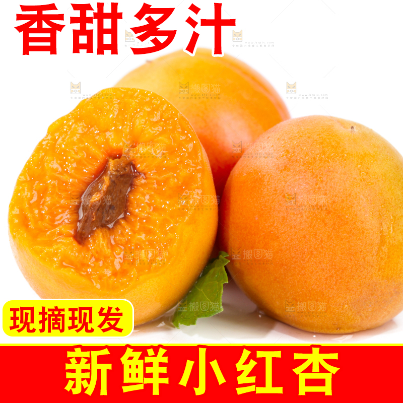 白底上的小红杏