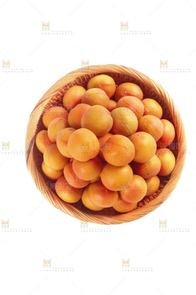 白底上的新疆小红杏